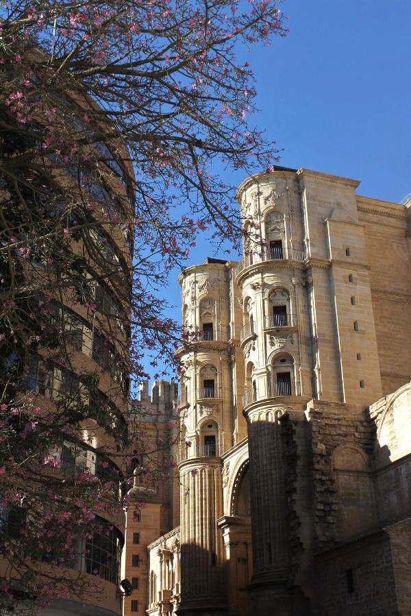Casa La Victoria Apartment Málaga Exterior foto